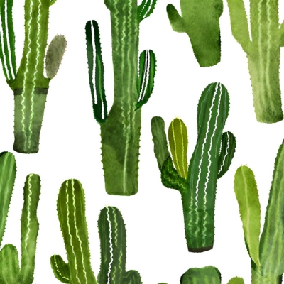Interdisziplinäre Ansätze in der San Pedro Kaktus Forschung