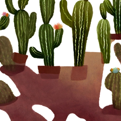 San Pedro Kaktus Forschung im globalen Kontext