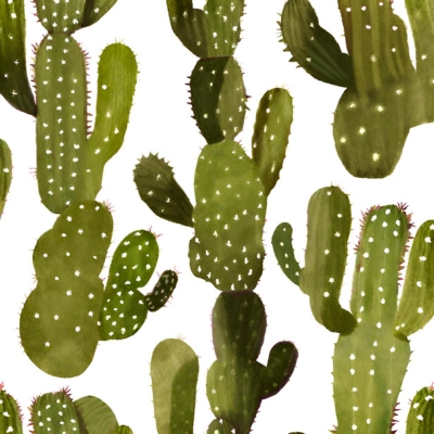 Zukünftige Perspektiven der San Pedro Kaktus Forschung